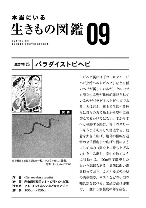 「翼がないのに飛ぶ」東洋の龍は実在可能か考える漫画5（さいご）
実際にいる動物の解説図鑑です。動物？ 