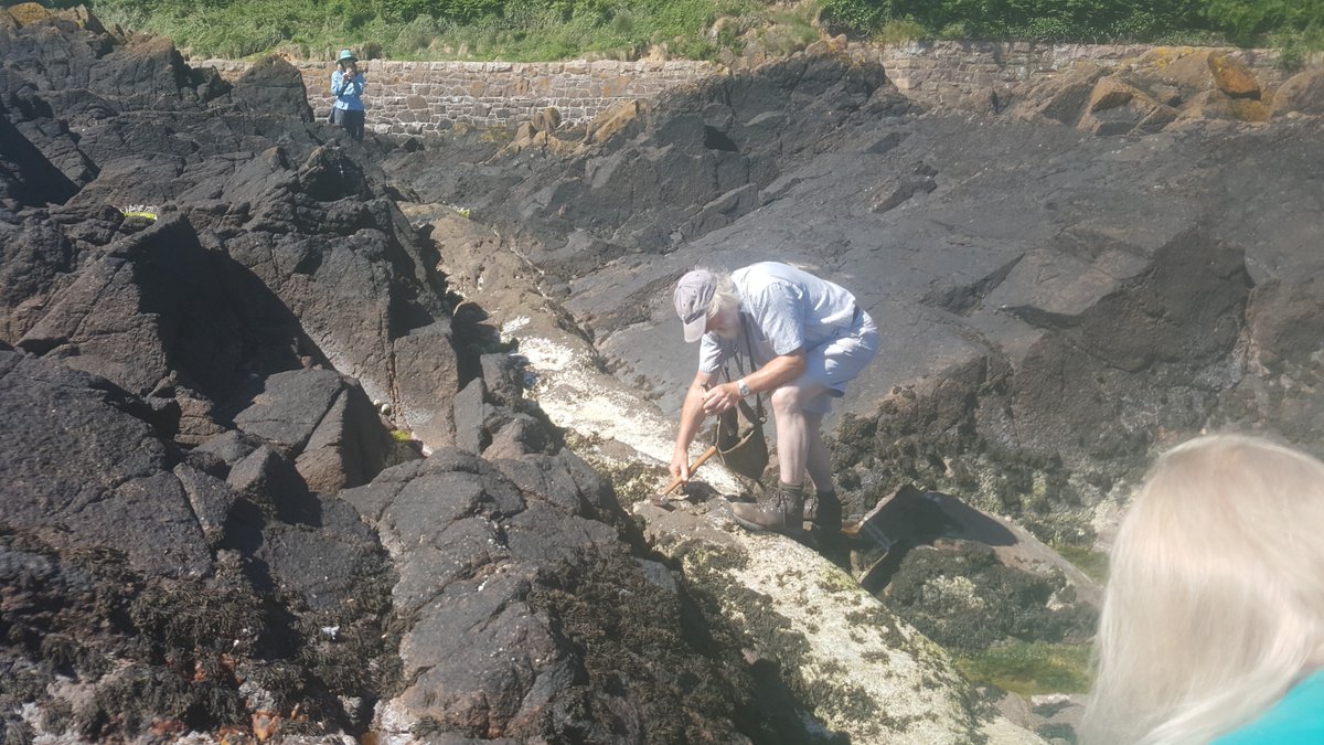 LondonOUGS's tweet image. London OUGS on Jersey on ulteamafic dyke