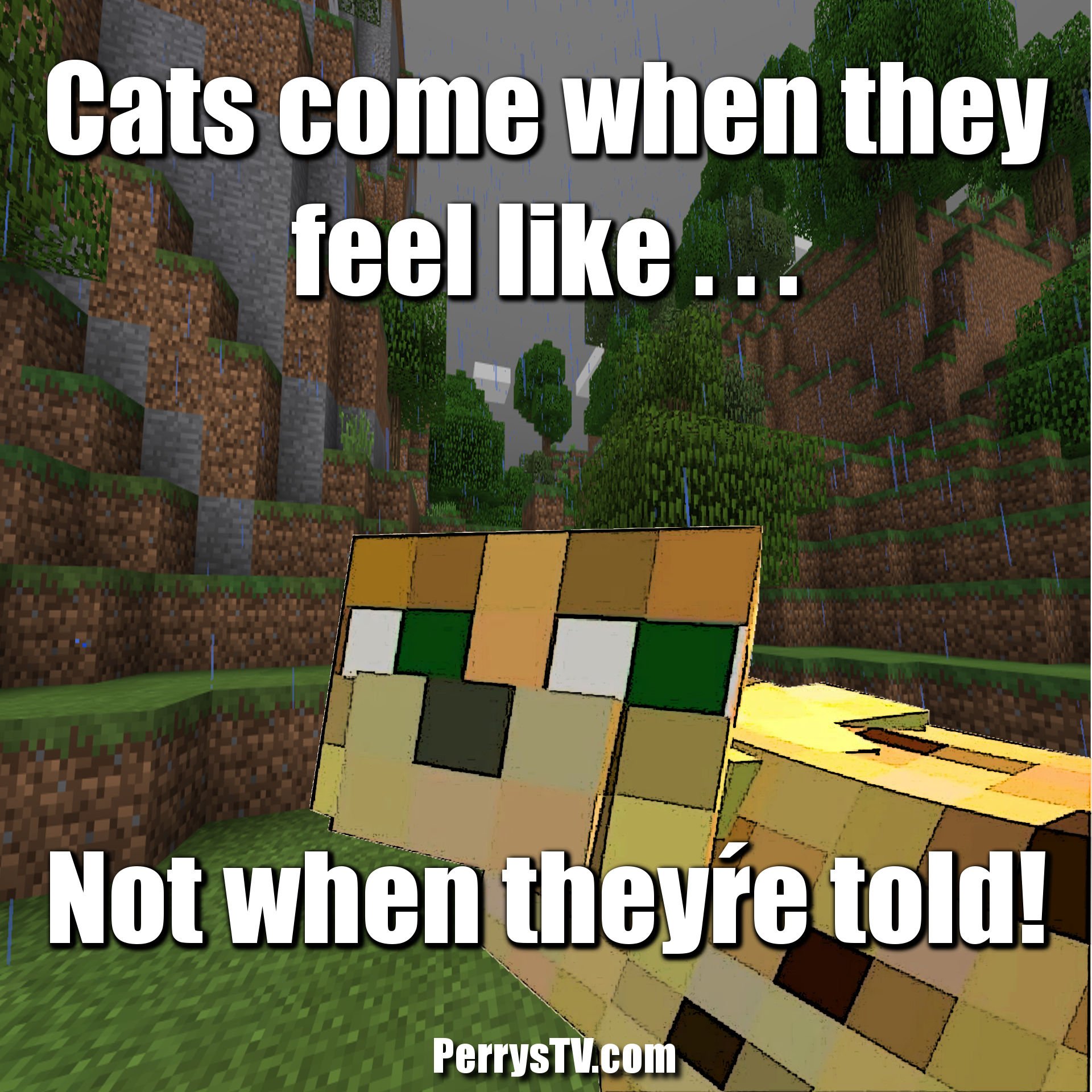 Perry sTV on X FOLLOW FOR MORE MINECRAFT AND SUB MY YOUTUBE IN BIO Cats come when they feel like Comment down below if you like this dankminecraftmemes minecraftskins minecraftsurvival minecraftstorym...