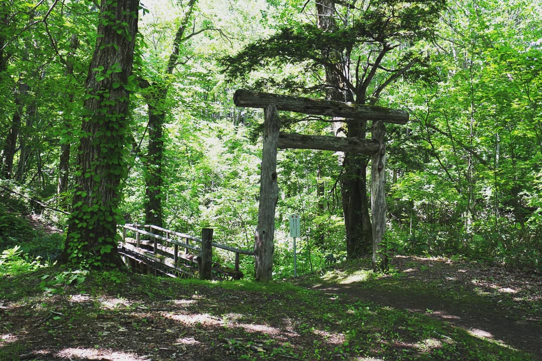 ひよこまめ ジブリ感が半端ない 来運神社 こだま出てきそう T Co 3c8r6hgbqo Twitter