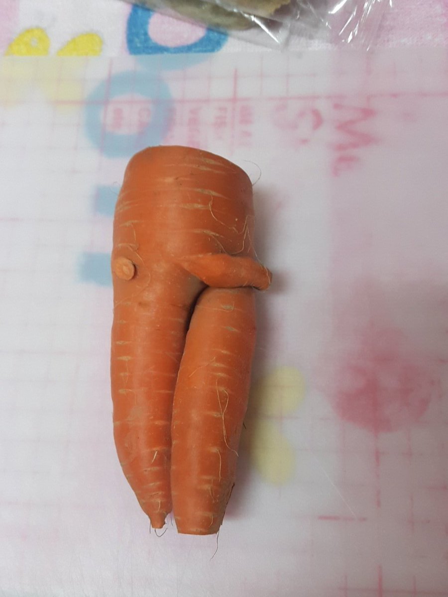 るっち くん タンタル ルカ Stuffed Animal Family ヤバい人参を発見 よく足に見える って事は聞くけど これは 男性の下半身 人参 面白い 発見 男性 下半身