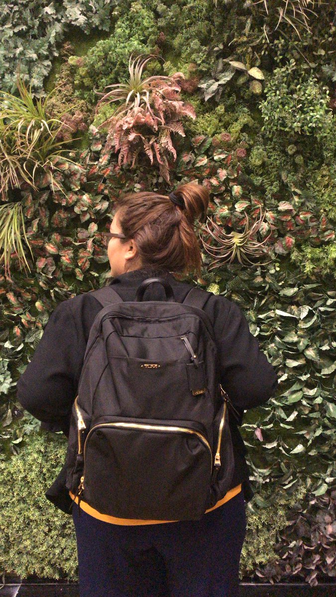 KarlaMaeT's tweet photo. 🎒 🙋🏽‍♀️ https://t.co/rKqRG7QfDG