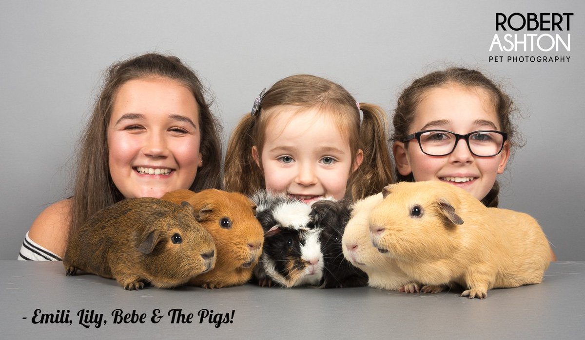 RobAshtonPhoto's tweet photo. There are still a few spaces left for my free pet portrait shoot at Ashfield Vets in #Halifax on Sat 30/06/18. Please contact me if you are interested, it's a free event &amp; there is no pressure or obligation to buy (prices from £25). #capturingtheircharacter #petphotographer #dogs https://t.co/EfrQhlDde9