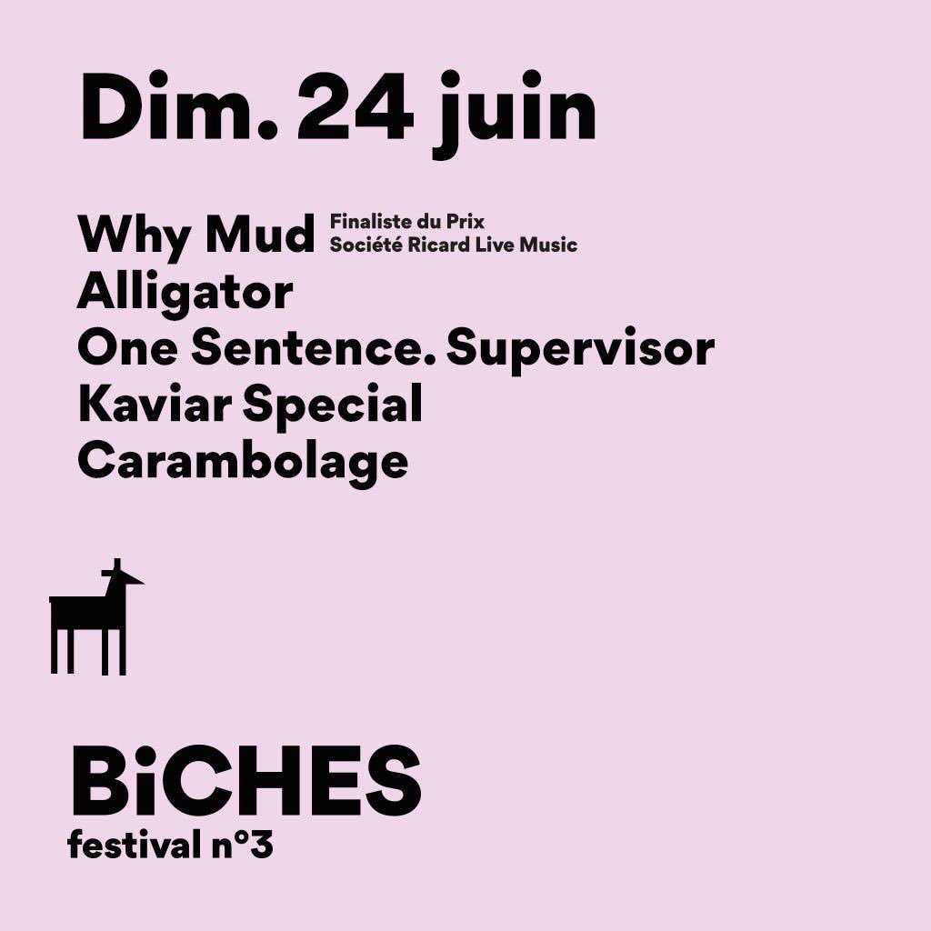 Demain c'est nos copains de <a href="/whymud/">WHY  MUD</a> qui seront au <a href="/BichesFest/">Biches Festival</a> 🎶🦌🌲🌞
Et toi, t'y seras ?