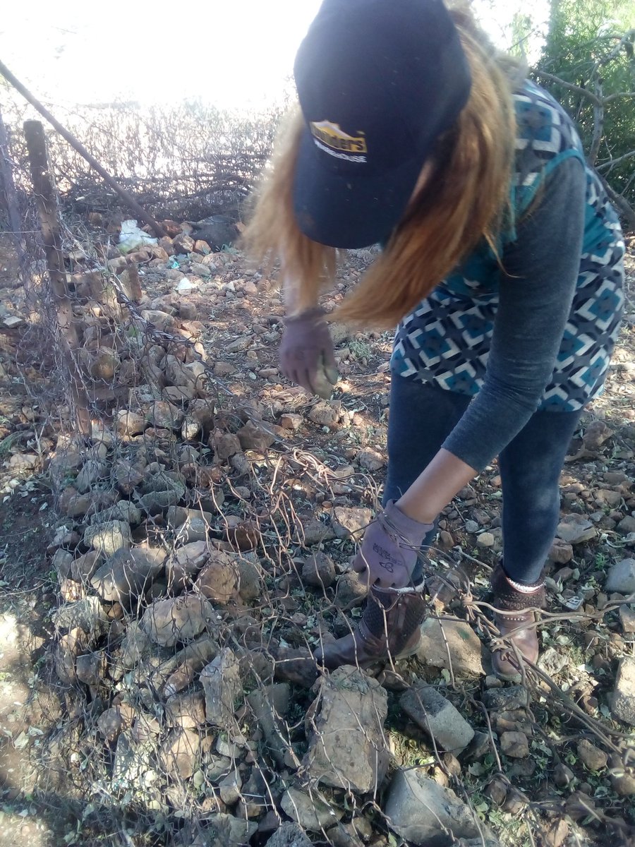 cathymalejane's tweet photo. Patching up some holes in our fence at home... Am not yet perfect but I believe am getting the hang of it and I am surely GETTING IT DONE!!! Ah well, I AM the #DiyChick #BuildersWarehouse #DiyBotswana #FollowingMyPassion #GetItDone  #WarmAndFuzzy.. https://t.co/Wonu9eLIf9