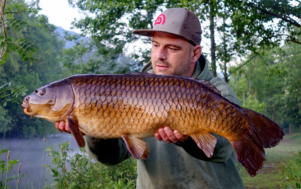 sspbaits's tweet photo. Check out these 4 bangers that couldnt resist the NEW MONSTER-X dumbbells and popups for Gavin Morgan
"Good Things Come To Those That Bait!"
https://t.co/YAiov188WQ | #SightSmellPalate #SSPBaits #SystemX #MonsterX #SSPElements #AllSeasonSystemX #WashedOutPopups #carpfishing #carp https://t.co/94gRZfEn1q