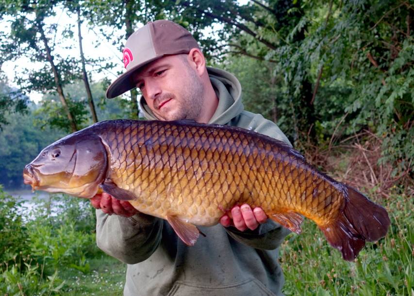 sspbaits's tweet photo. Check out these 4 bangers that couldnt resist the NEW MONSTER-X dumbbells and popups for Gavin Morgan
"Good Things Come To Those That Bait!"
https://t.co/YAiov188WQ | #SightSmellPalate #SSPBaits #SystemX #MonsterX #SSPElements #AllSeasonSystemX #WashedOutPopups #carpfishing #carp https://t.co/94gRZfEn1q