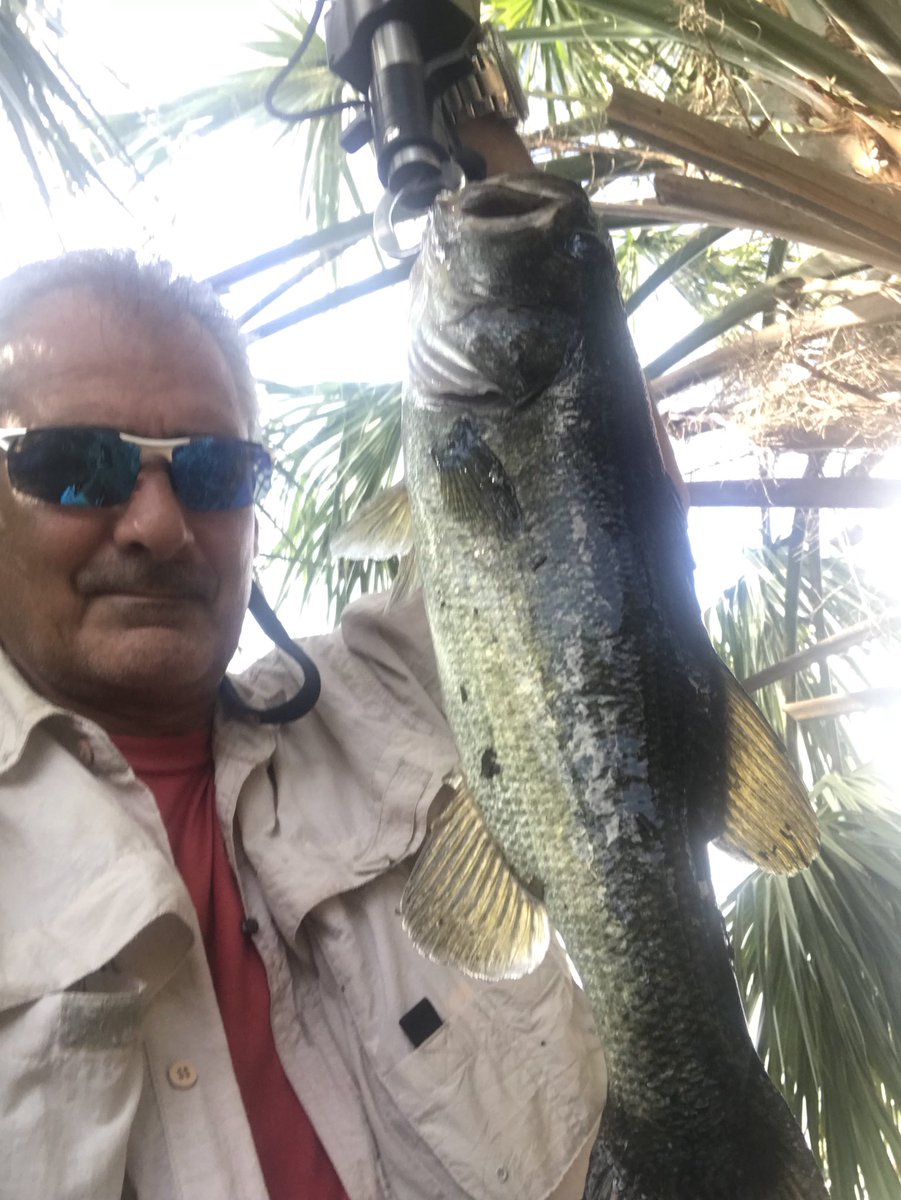 GMR_NYGFAN's tweet image. Nextgen bait with a glass bead and a little Mayhem. Thanks guys. Tights lines everyone. #nextgenbaits #liquidmayhem #jackslures #gmanfishin