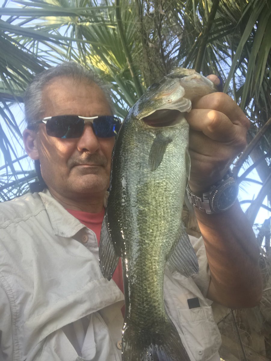 GMR_NYGFAN's tweet image. Nextgen bait with a glass bead and a little Mayhem. Thanks guys. Tights lines everyone. #nextgenbaits #liquidmayhem #jackslures #gmanfishin