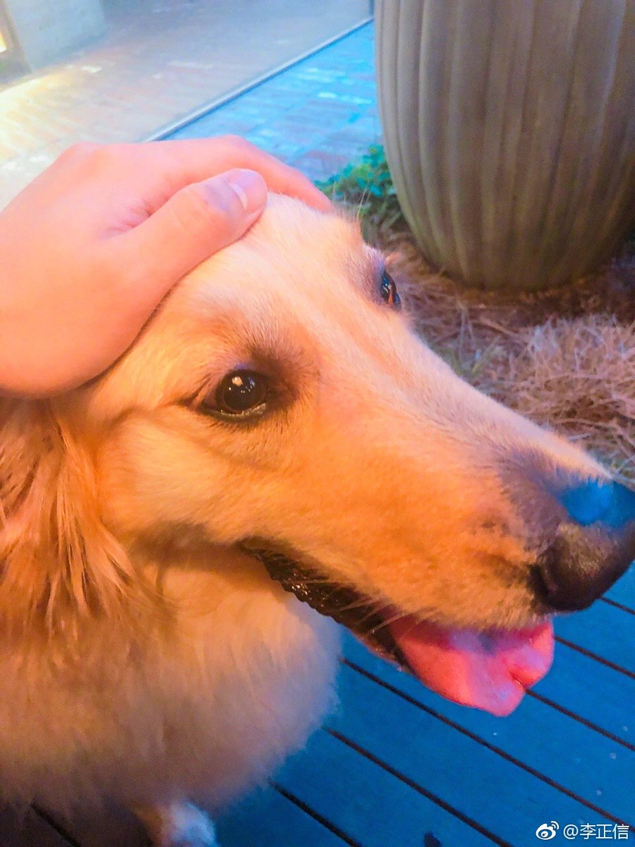 cnbluesnaps's tweet photo. [JUNGSHIN WEIBO(3P)] LeeJungshin91: #simba##晚安信# ​ https://t.co/eTksN3rNYh #kpopsnaps https://t.co/fS2bkltIiS