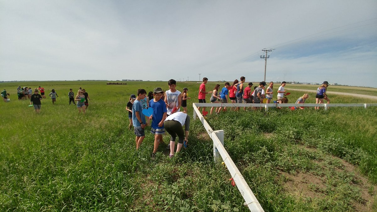 Lindsay Morhart tweet media