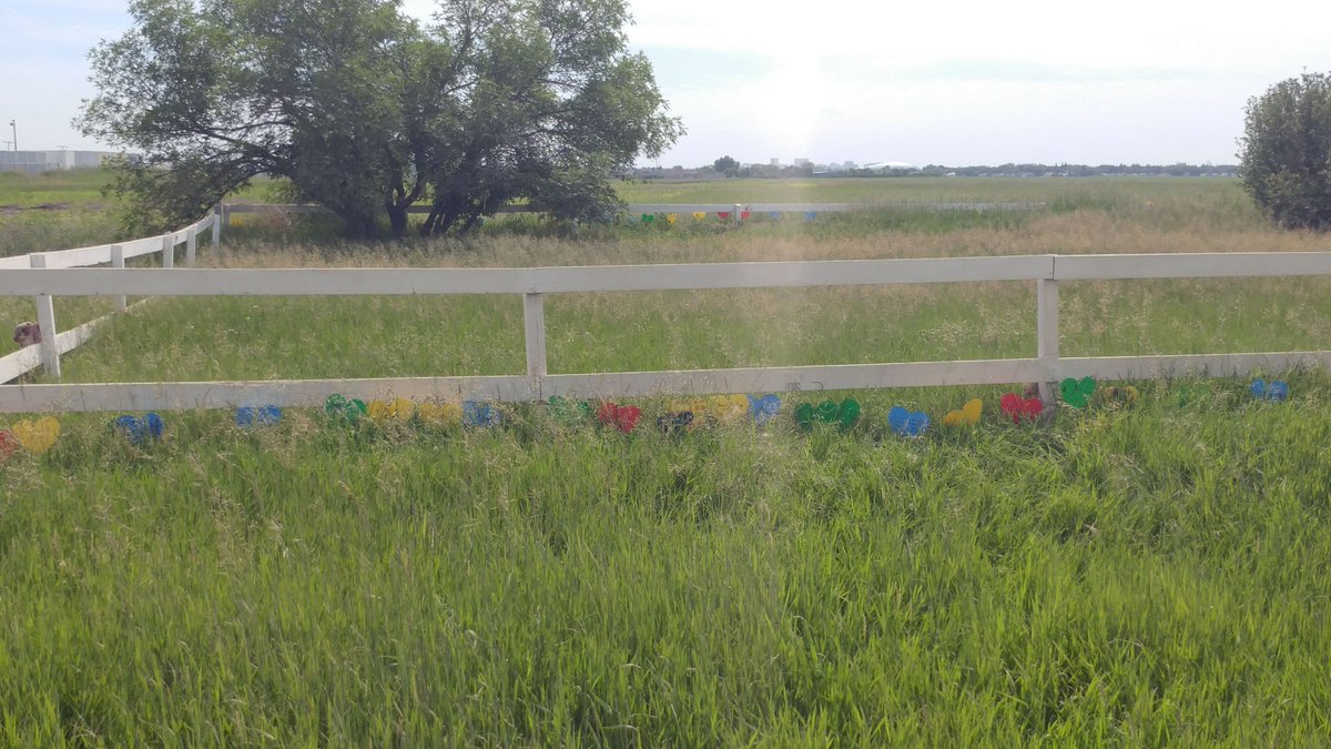 Lindsay Morhart tweet media