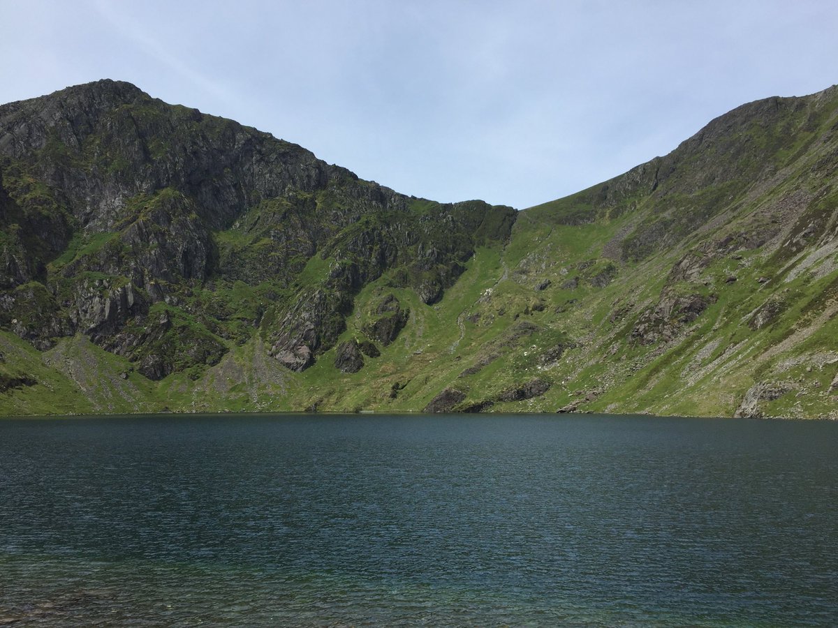 David Grady tweet media