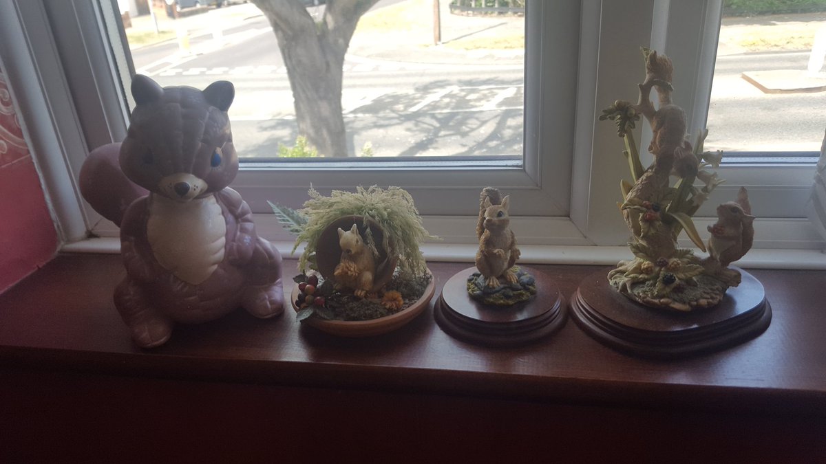 Wrayth_Black's tweet photo. It has just occurred to me, that it must have been date that me and my beautiful girl got together. She is #Squirrel and look at what my human has a small collection of. #ItWasAlwaysMeantToBe @FurtiveSplendor https://t.co/I4wZvFXFd5