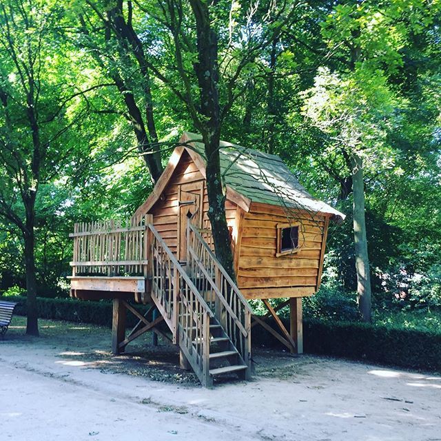 BxlByLulu's tweet photo. Petite cabane perchée dans le #parcducinquantenaire 😍 Est-ce que quelqu’un sait pourquoi ?
#bruxelles #bruxellesinsolite #brusselslive #bxlife #visitbrussels #instabrussels #brussel #brussels #welovebrussels https://t.co/VU91Iily8m https://t.co/P8vxBTbPAa