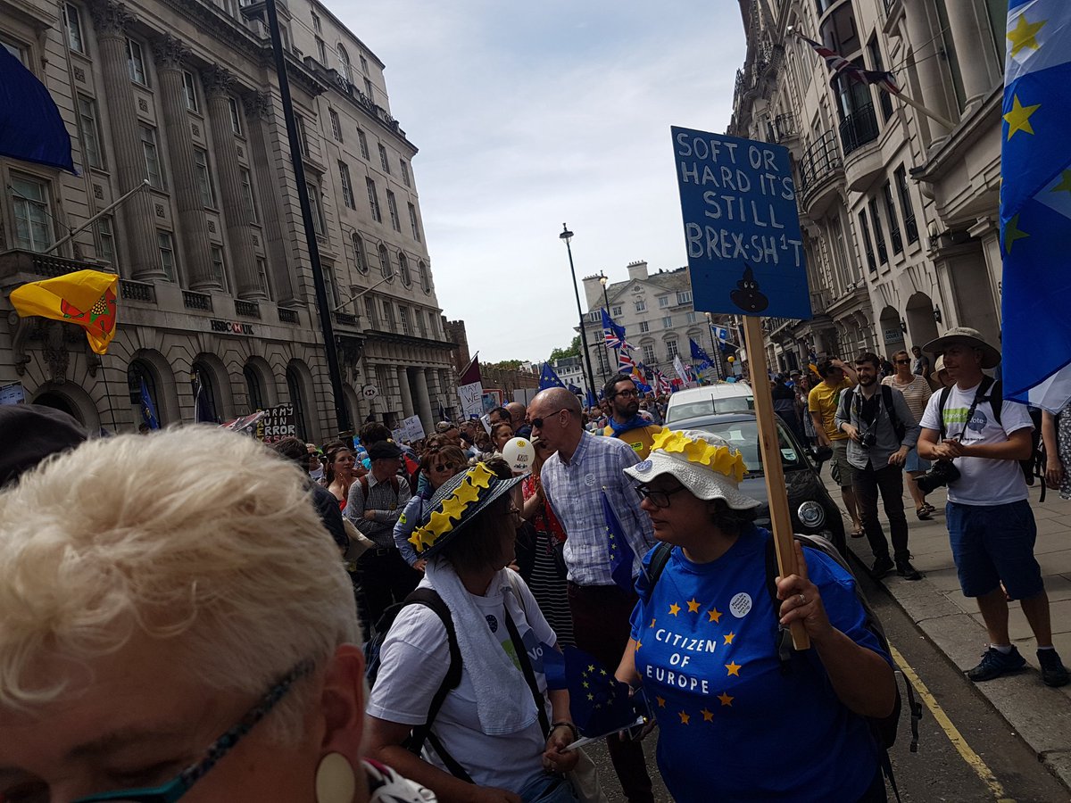 EFRoselli's tweet photo. #PeoplesVoteMarch A sea of people. Can't see either end of it. https://t.co/wzxinEdWTq