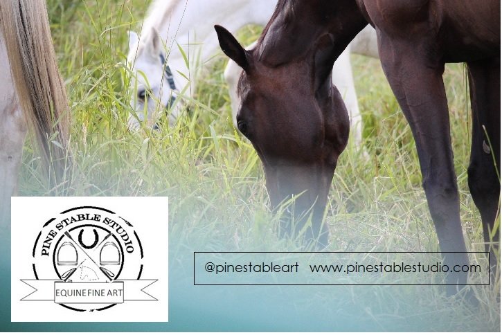 Consider introducing a salt block in extended extreme hot conditions. #horses #equestrians #equines #horsehour