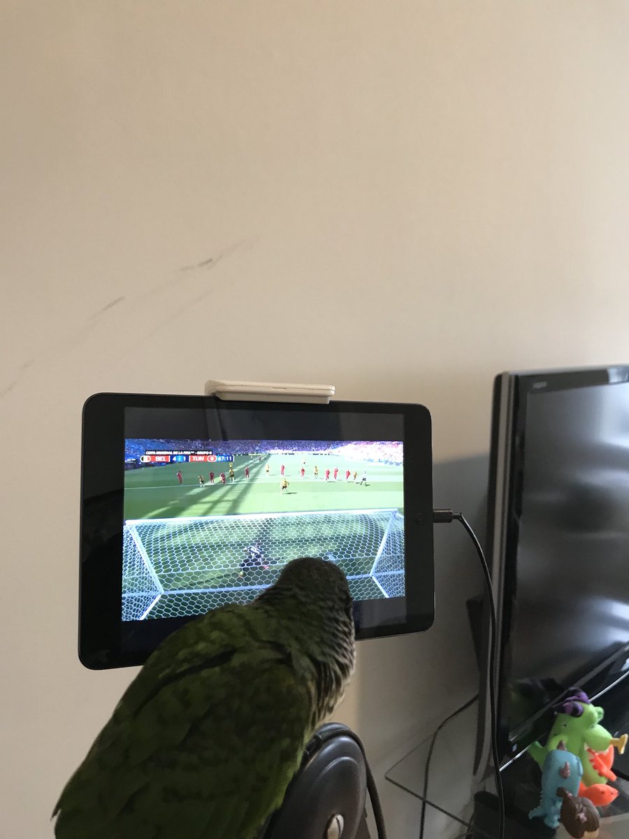 teK_CSGO's tweet image. This game is so interesting -Benito