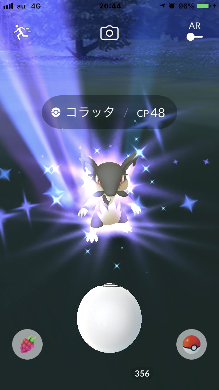 やじ アローラコラッタ も野生で出たんだねs ポケモンgo アローラ T Co 7ika3asqpe Twitter