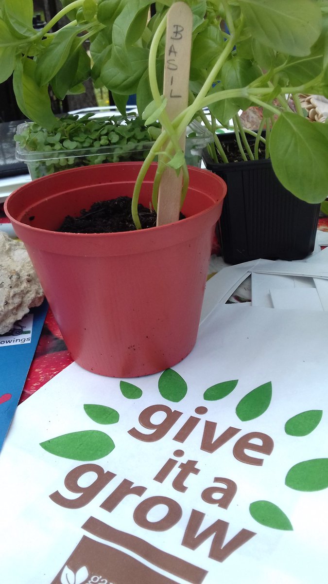 #Giving it a grow @Netra2016 funday #arts #crafts # facepainting fun for everyone @southwarkMG @gardenorganicuk