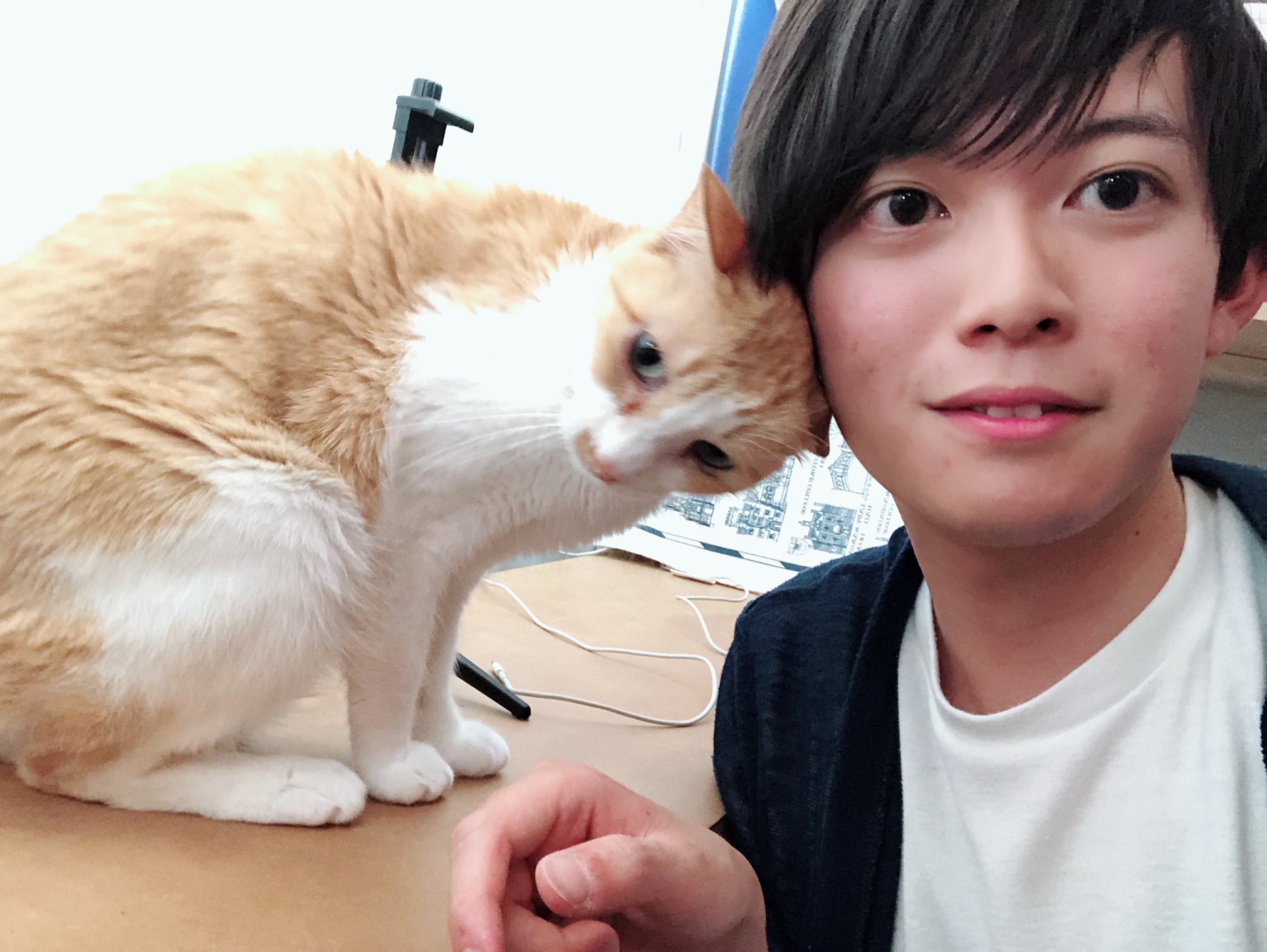 松丸 亮吾 ニコ生終わってdaigoの愛猫ぬこさまと写真撮ろうとしたら頭突きされた かわいい 松丸 亮吾 ニコ生終わってdaigoの愛猫ぬこさまと写真撮ろうとしたら頭突きされた かわいい