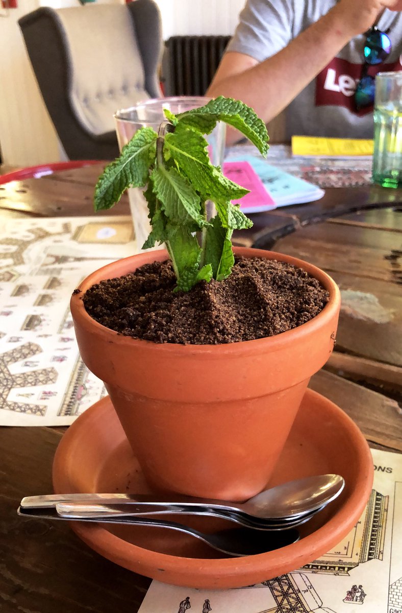 Me estoy comiendo una maceta literal.