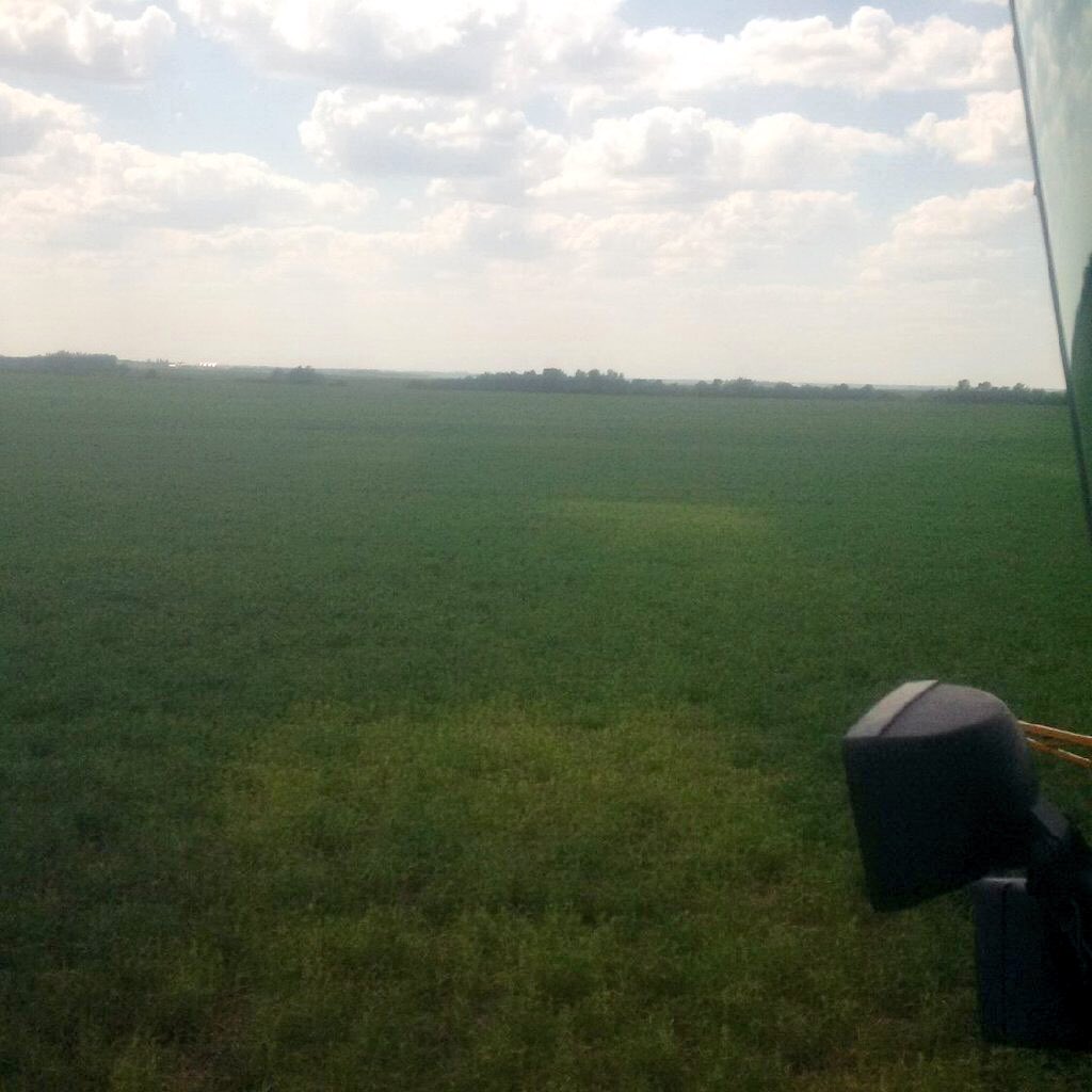 This is pretty wild...&amp; scary. Photos sent to me from a current <a href="/IHARF_SK/">IHARF</a> pea crop (treated with Intego) over what was a trial site back in 2014. Affected areas were #pea plots in a <a href="/SaskPulse/">Saskatchewan Pulse Growers</a> study that also included fababeans, soybeans &amp; canola #aphanomyces #scout18