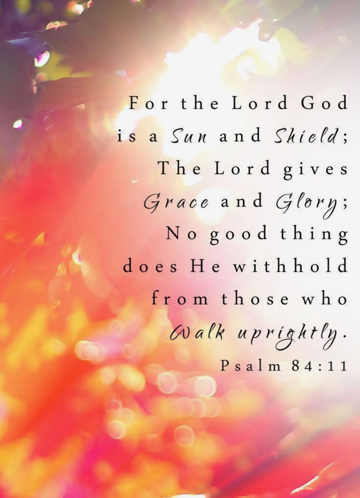 For Adonai Elohim is a sun and a shield. Adonai gives grace and glory. No  good thing will He withhold from those who walk…