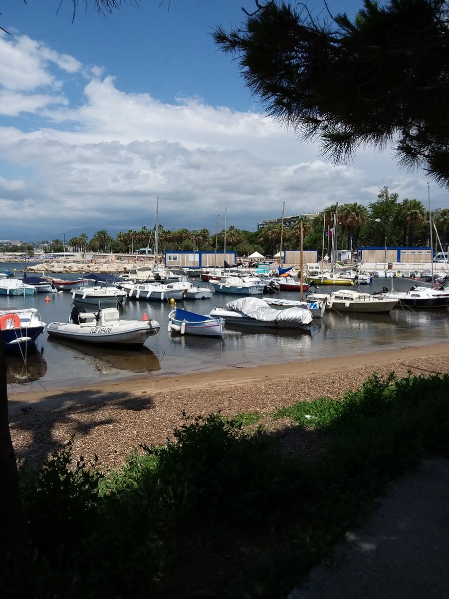 fred5106's tweet photo. @CannesIsYours  @ILoveCannes1  @villecannes  #paca  #frenchriviera  #mediteranee  #CotedAzurFrance  #suddelafrance  #SUN https://t.co/j7EcNl4mYq