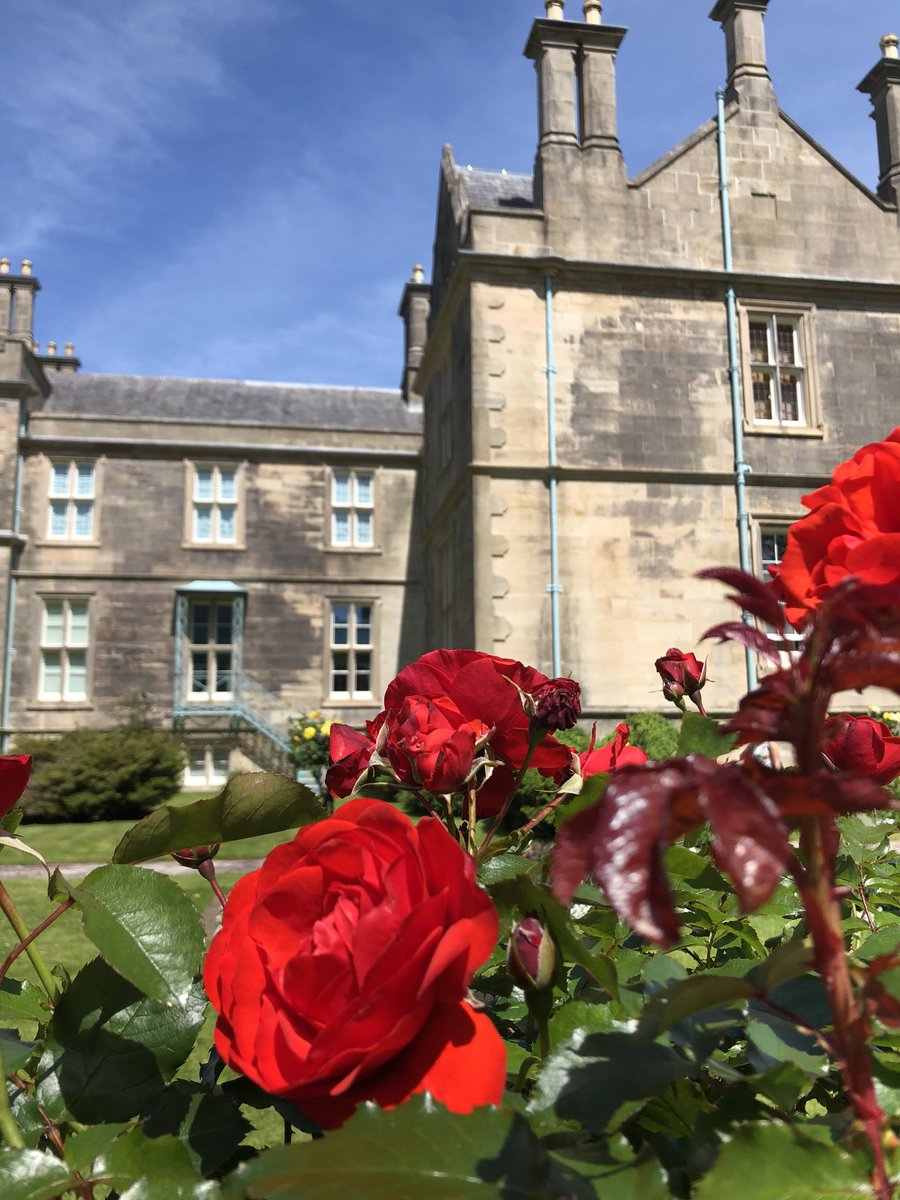 I stopped to smell the roses <a href="/MuckrossHouse/">Muckross House, Gardens & Traditional Farms</a>  and they were incredible!