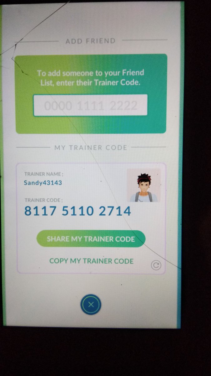 Pkmnmasterholly real name