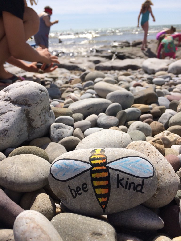 Been a little quiet lately (must be report writing season!) #BeMoreBeKind