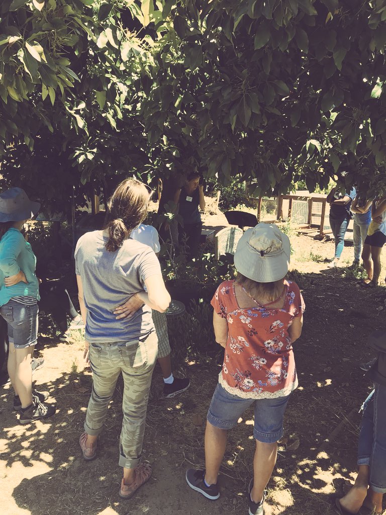 scomorrison's tweet photo. I highly recommend The Growing Classroom from @lifelabtweets. Learned so much from Wendy and John and everyone who attended the past three days. Lucky to attend with four @eaepanthers teachers and @AnnaKMorrison! #ElonEd #enviroed https://t.co/zYYYCk5CgU