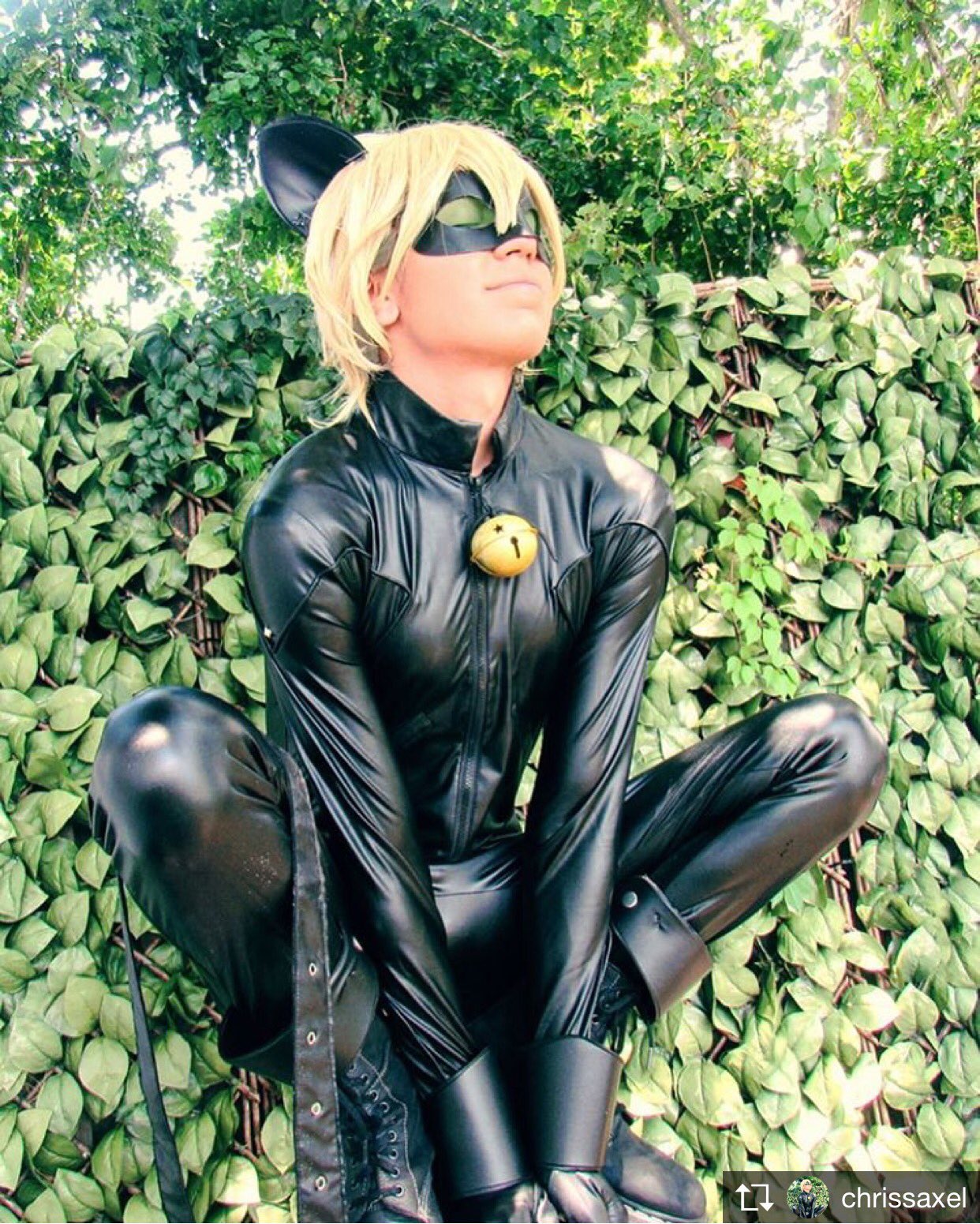 Miraculous - Cat Noir Cosplay  Cosplay, Amazing cosplay, Cosplay anime