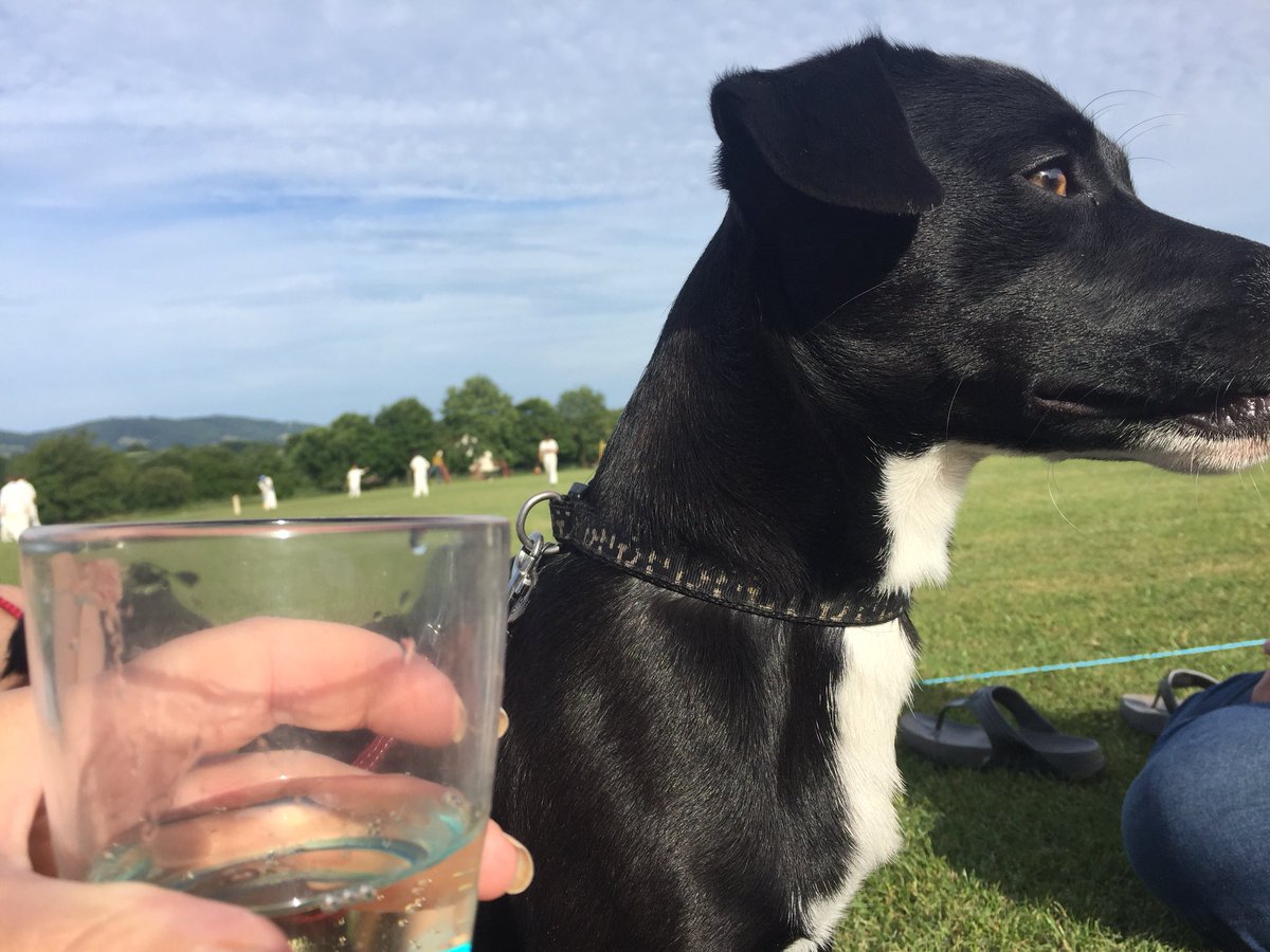 SamKirkha2's tweet photo. When it’s your turn to do Cricket teas #VillageCricket #TheCountrysideMatters #QuintessentiallyBritish https://t.co/2EVjbsUaIa