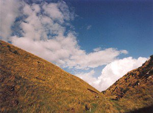Looking for great quality #pheasant &amp; #partridge #shooting with easy access from #Perth and #Dundee? How about Bandirran Estate - you will find a warm welcome, challenging #shooting and great food.  #Claypigeon shooting is also available.  Learn more bit.ly/2HLEHwc
