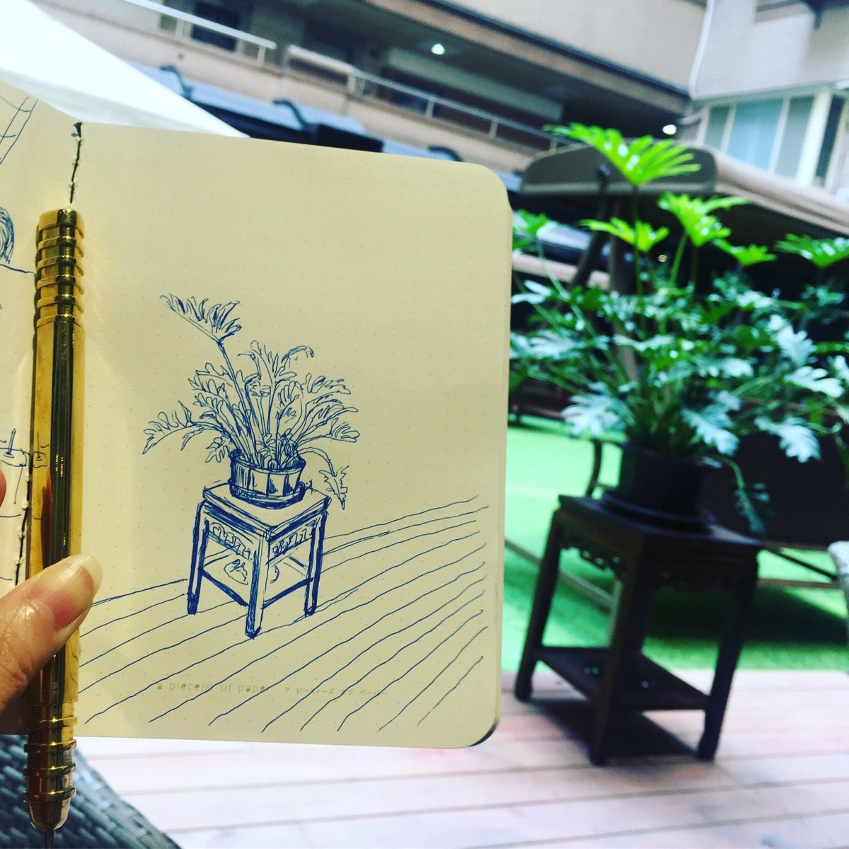 neopenx's tweet photo. Draw plants/ leaves in taiwan 
#taiwan #plants #leaves #plants #leaves #ground #floor #pen #penaddict #pens #drawing #draw #draweveryday #sketching #sketch #sketcheveryday #fieldnote https://t.co/K3IXjQfv7n
