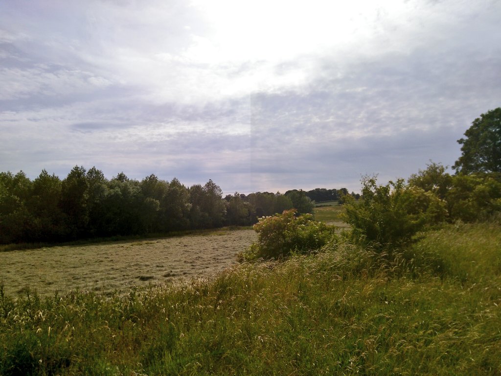 RamonRomero5's tweet image. Nobody gets up everyday motivated, but others you cannot get enough.

7K this morning and a 10K this afternoon after 'playing' with the chainsaw to build a treehouse for nenes. And yet again a new trail with amazing views, amazing #yorkshire
#ukrunchat #training4manaslu #6pmclub