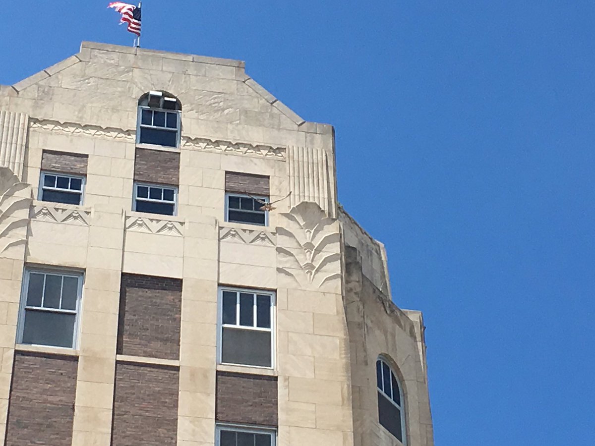 KristenZambo's tweet photo. Well that was a new perching spot on that little window ledge for Louise or Gigi. As I walked toward the building, eight stories below, the peregrine falcon parent flew off over me. Very cool. #falcon2018 #conservation #birdsofprey https://t.co/USq2t5cXef