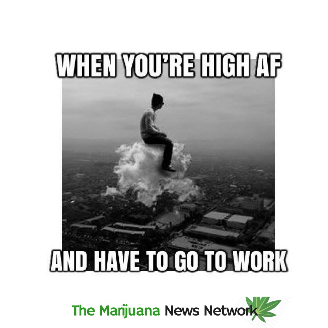 themarijuananew's tweet photo. marijuana prescription: https://t.co/jURm8z2R9e https://t.co/mx3ErdQdPL