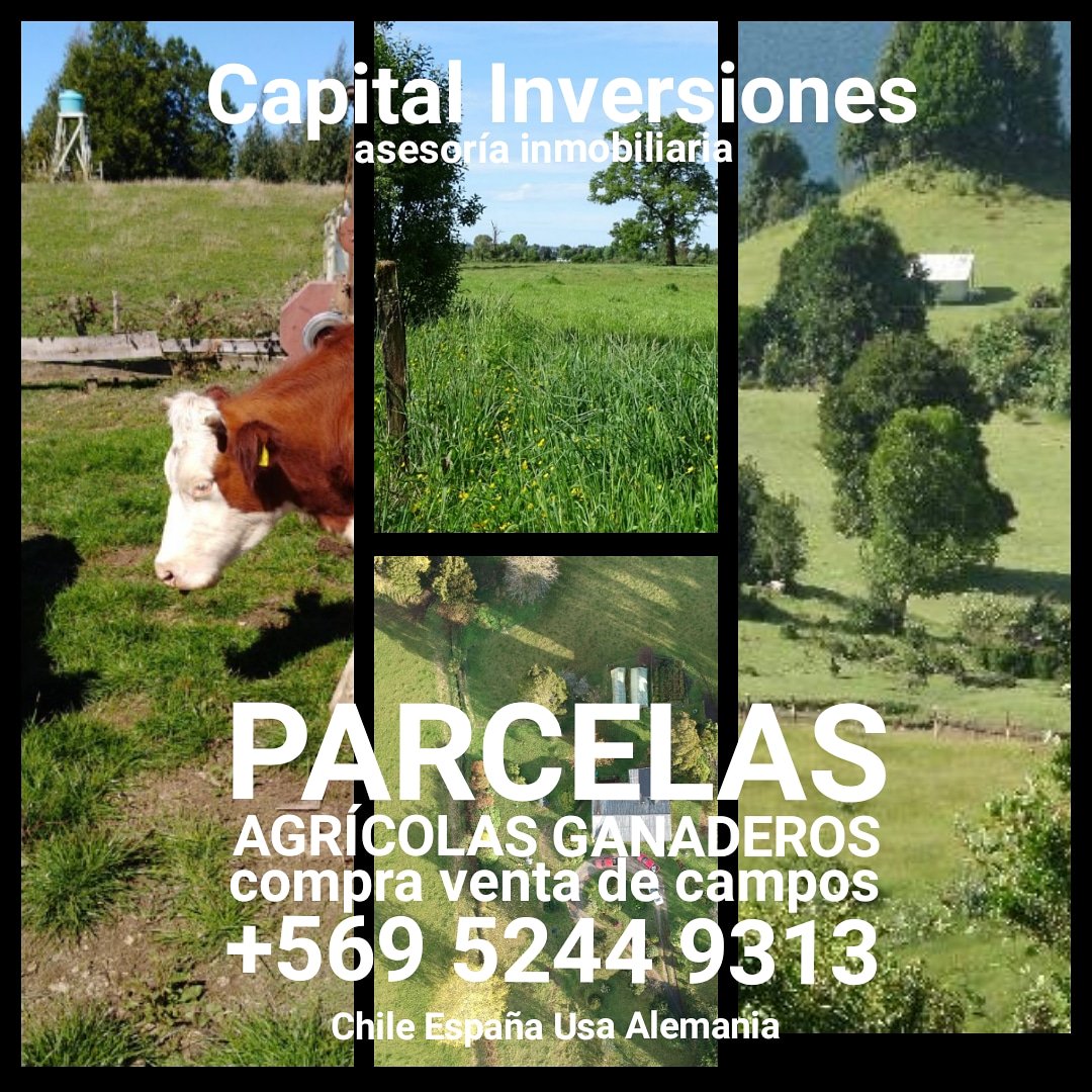 RE_INVERSIONES's tweet photo. https://t.co/bpDJEnlqBo https://t.co/g1gWyfYBJC