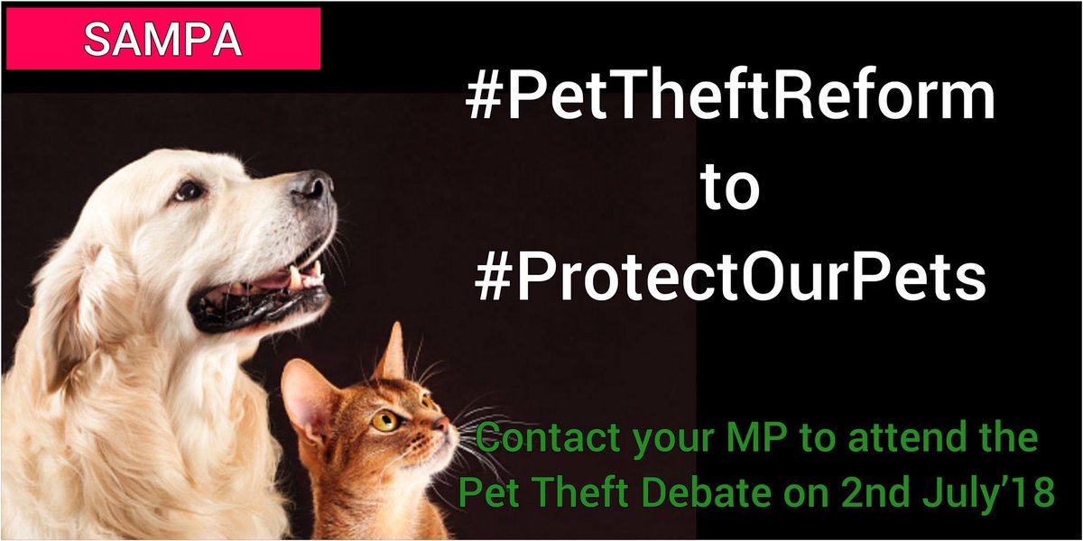 Have you contacted your MP yet ?
2nd July is the date for the reading. We must make our pets as valuable in the eyes of the law as they are in our own eyes. It's a easy low risk crime 😔
#PetTheftPetition 
#PetTheftReform 
#PetsAreFamily 
#protectourpets