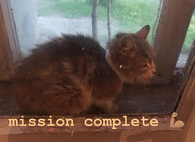 Sizinle dünyanın en güzel fotoğraflarını paylaşıyorum 😊