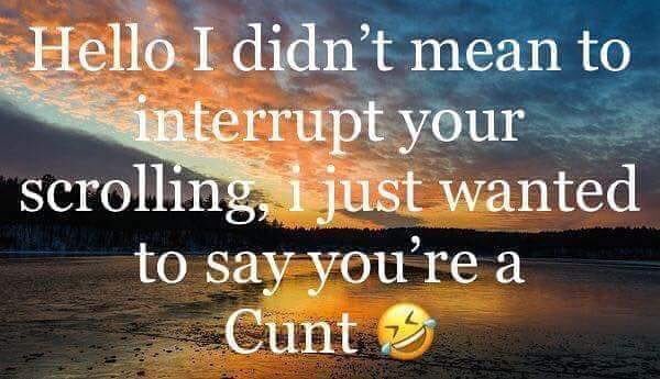 xkittykat1xxx's tweet image. 🤣😂🤣😂👍