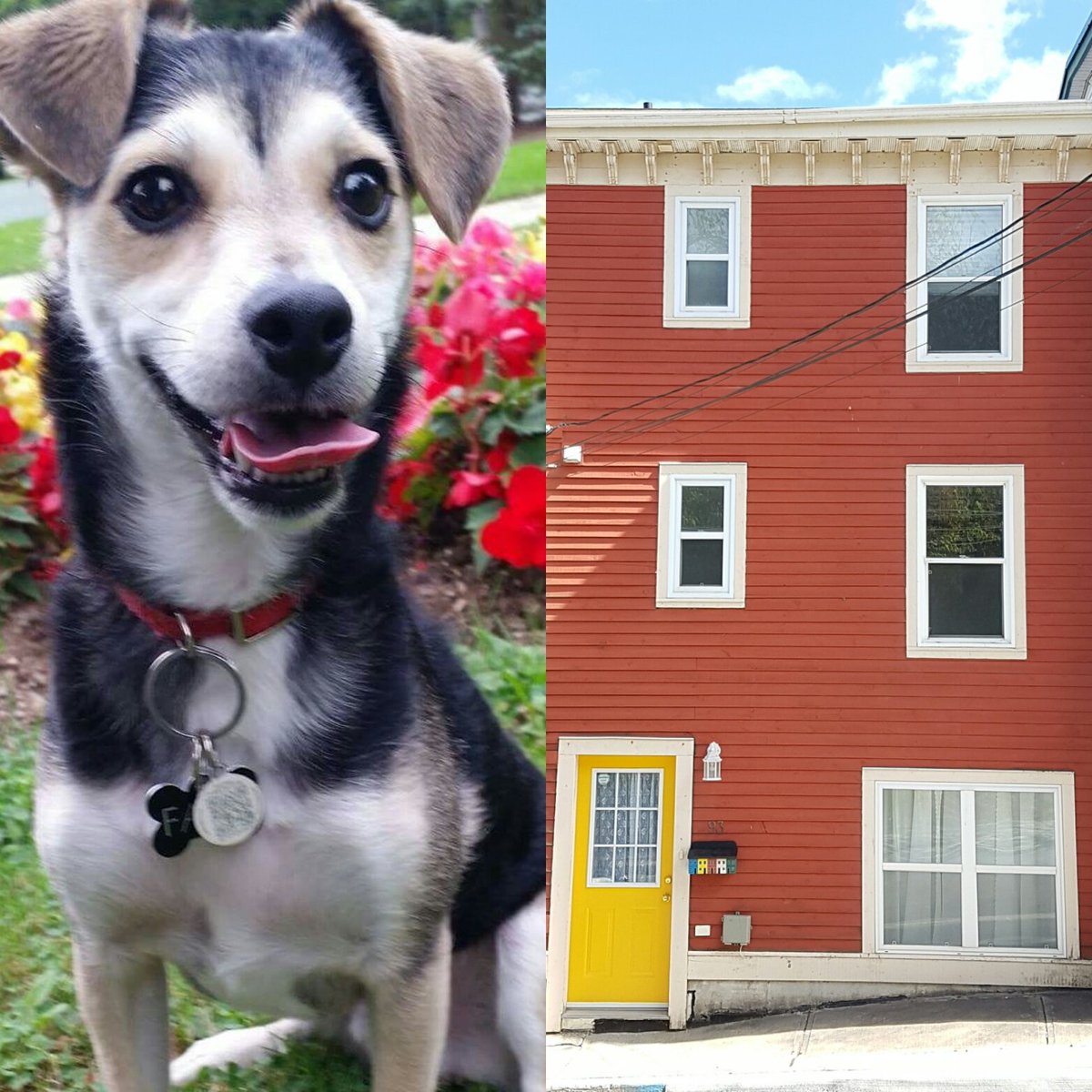 My name is Fasa. This is my house, but we moved and now we want to sell it.

Please buy my house. There's an open house on Sunday June 24th from 2-4 pm and this nice lady would be happy to sell it  to you. It's at 93 Pleasant St. #BuyThisHouse #OpenHouse #MLS1175608