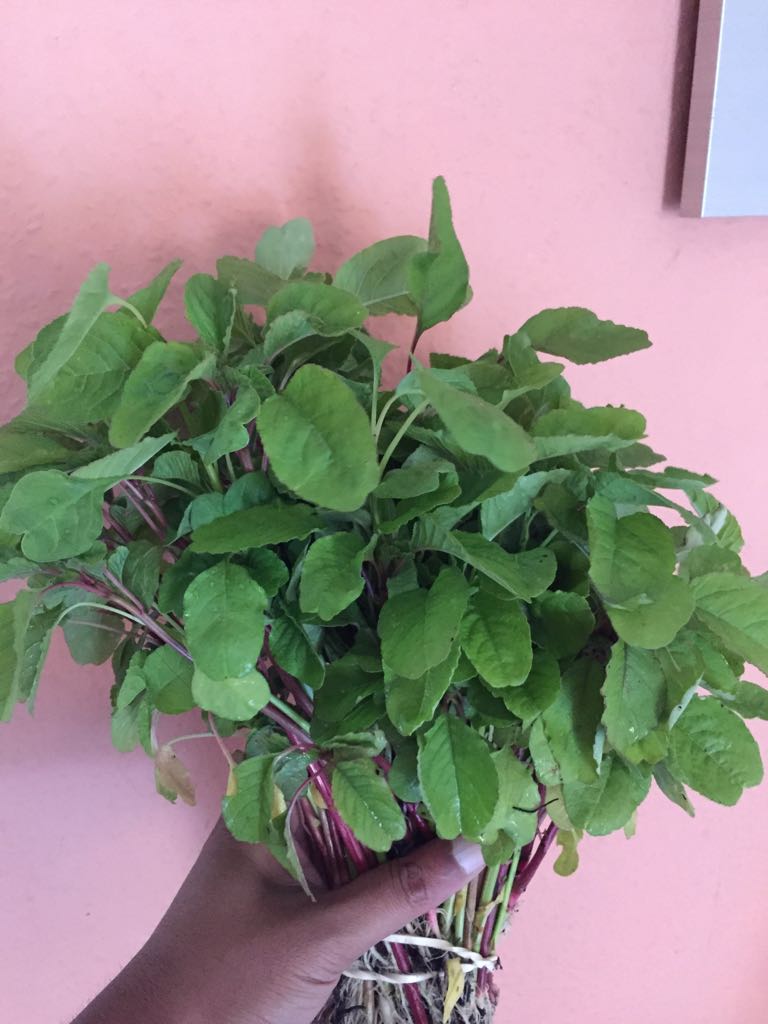 tulibbsr's tweet image. #Kosala saaga #garden harvest in #UK #ProudOdia