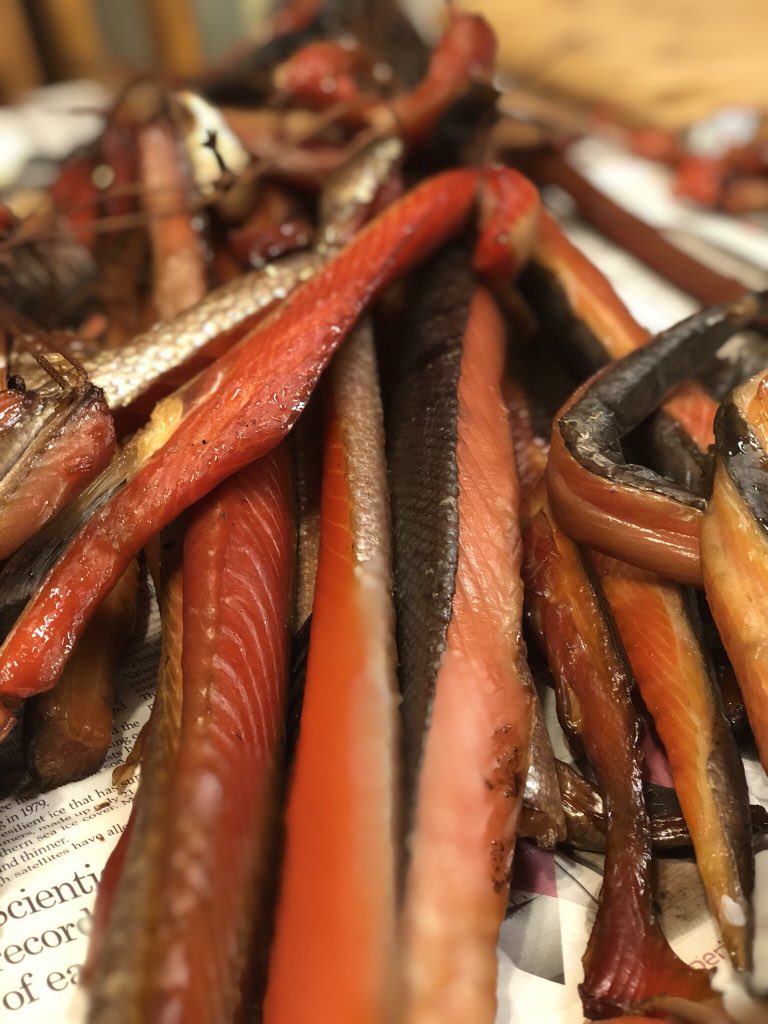 sdlclouse's tweet photo. From the Wood River, filleted, to my smoke house & into the canner. Next stop- my BELLY!
#nopebblemine #aksummer https://t.co/Xn3RACsBr9
