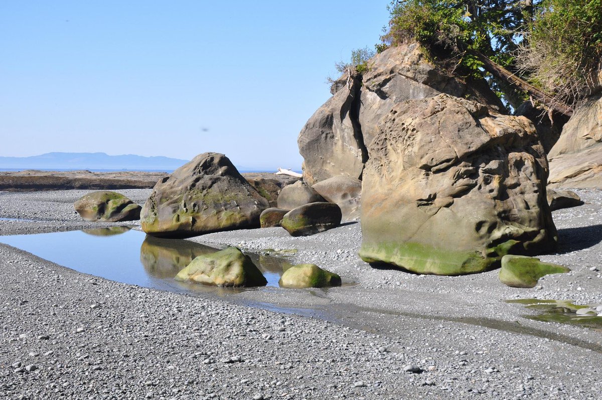 Pacific Rim National Park: 10 of the best hikes buff.ly/2yvSbwB #PacificRim #pnwadventures