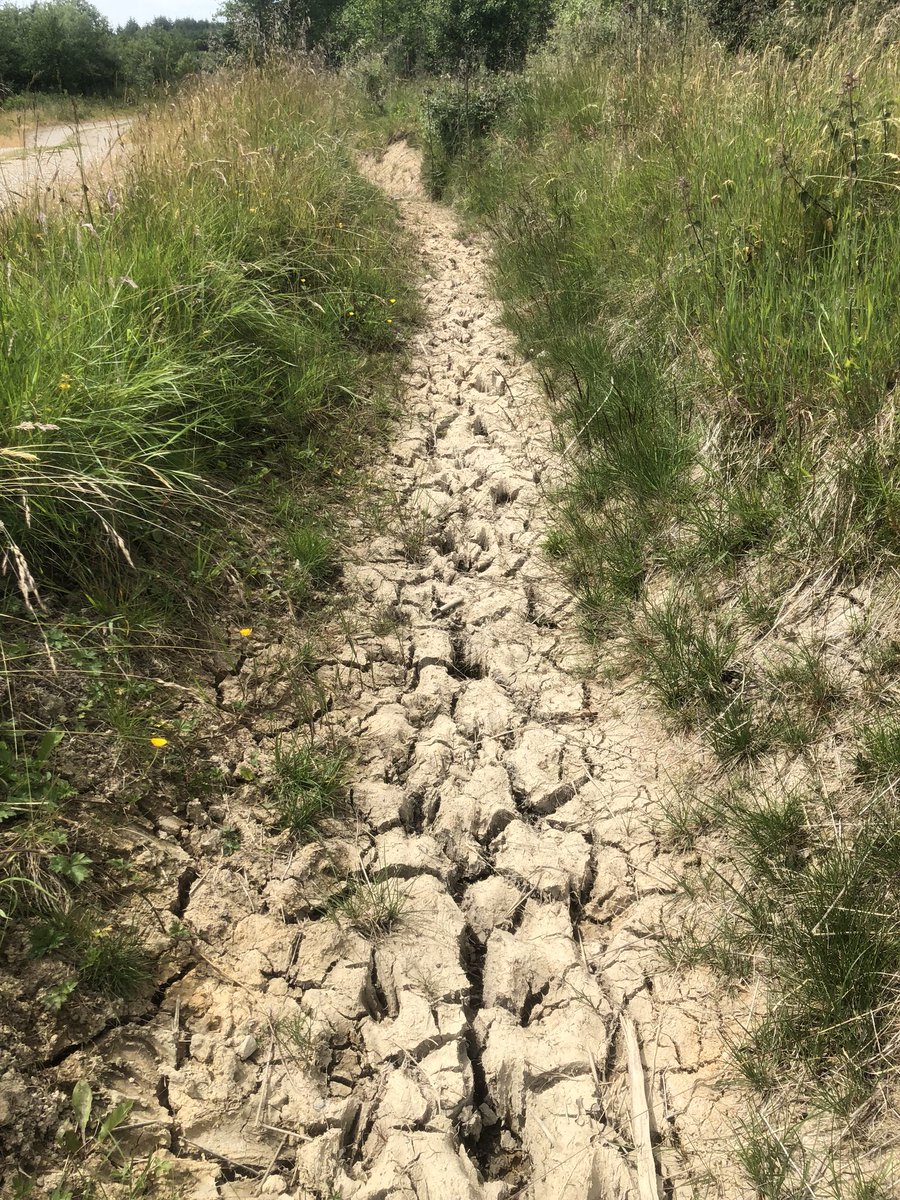 catherinesmoody's tweet photo. Where has all the water gone? #nowaternoscience https://t.co/OXKCcF58fh