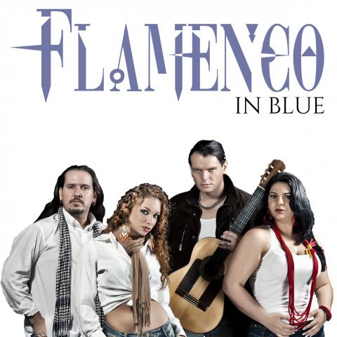 #FlamencoInBlue te pone a bailar!!! Contrataciones: flamencoinblue@gmail.com #Caracas #Venezuela #Hoy #Bodas #eventos
